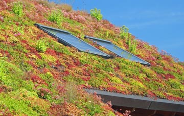 Hall Grove living roof systems